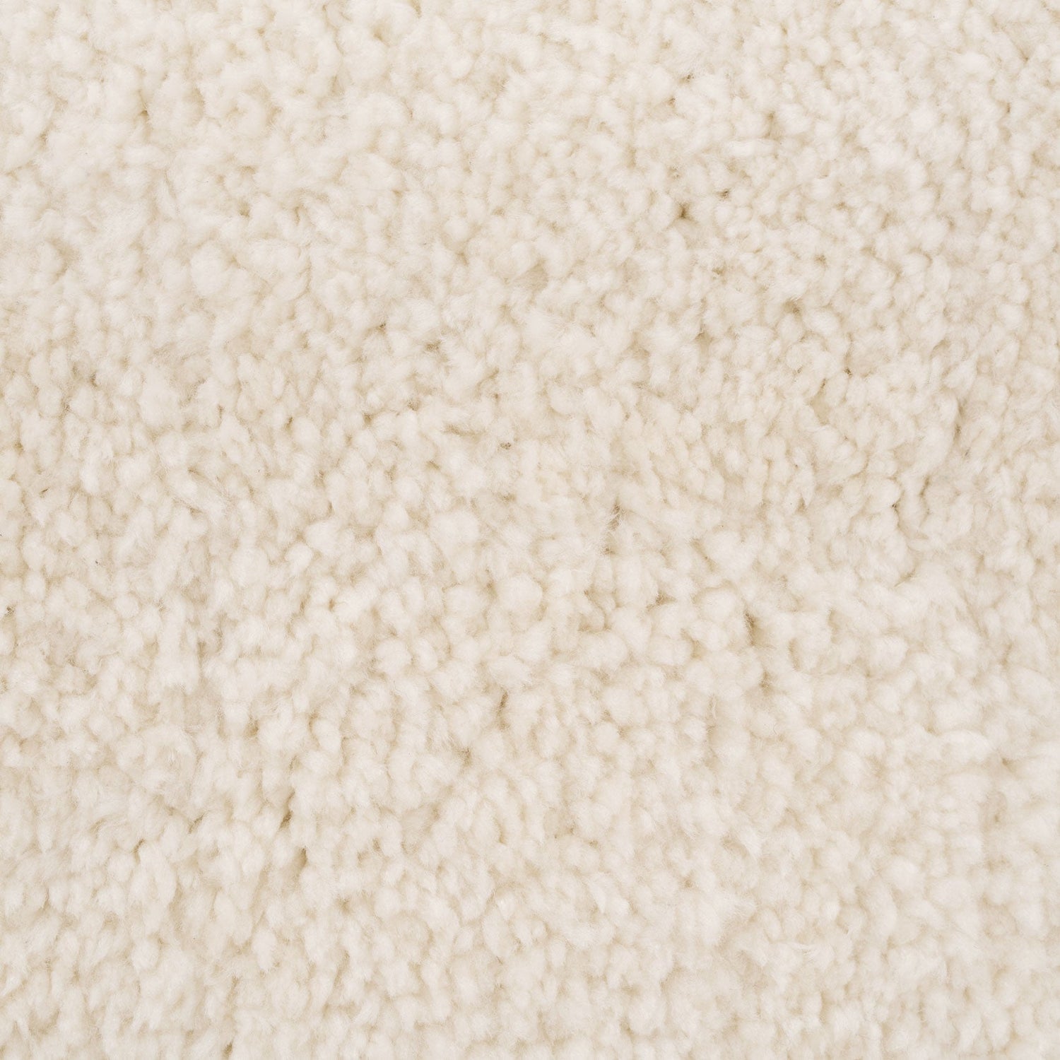 Premium Cream Shaggy Rug