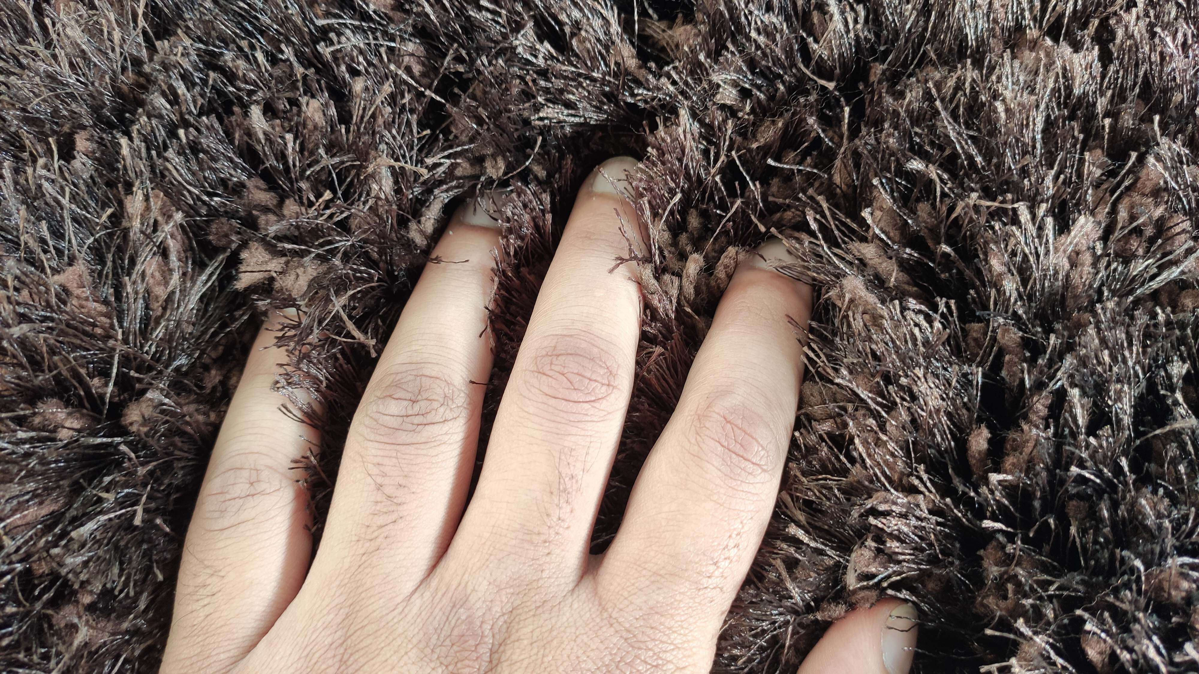 Soft Brown Color Shaggy Rug