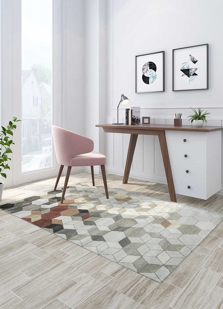 Classic Gray/Antique White Hand Tufted Rugs